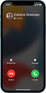 iOS 17 Call Screen