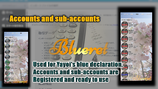 Easy Journal Entry Blueret Screen 3