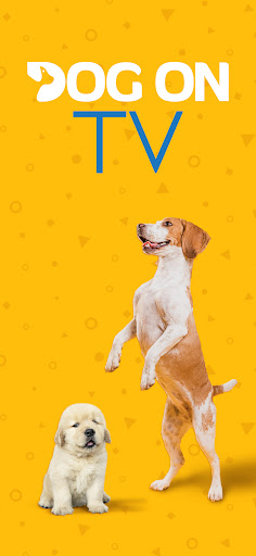 Screenshot of Dog TV