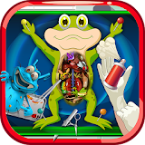 Frog Surgery Doctor Game icon