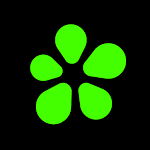 ICQ: Video Calls & Chat Rooms Apk
