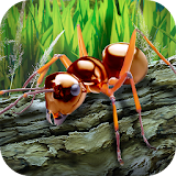 Ants Survival Simulator - go to insect world! icon