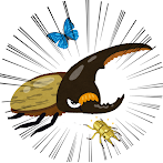 Beetle Attack!!