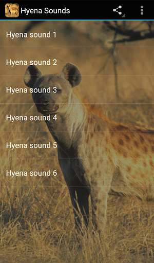 Hyena Sounds Screen 3