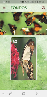 Fondos Pantalla Mariposas 1.0.0 APK screenshots 1