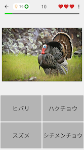 動物クイズゲーム 哺乳類 鳥 爬虫類 魚 恐竜を学びましょう Google Play のアプリ