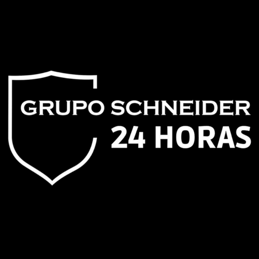Grupo Schneider logo
