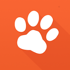 Icon image