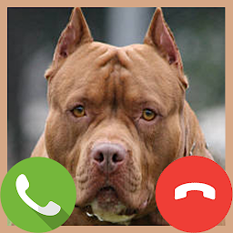 Icon image Fake Call Pitbull Game