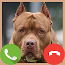 Téléchargement d'appli Fake Call Pitbull Game Installaller Dernier APK téléchargeur