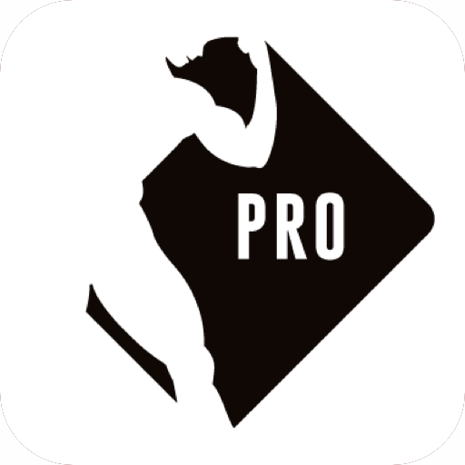 Steve Haywood Pro Fitness logo