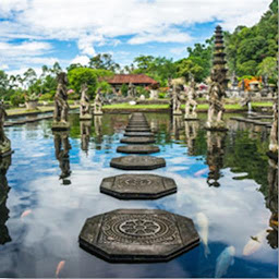 Icon image Bali: La guida
