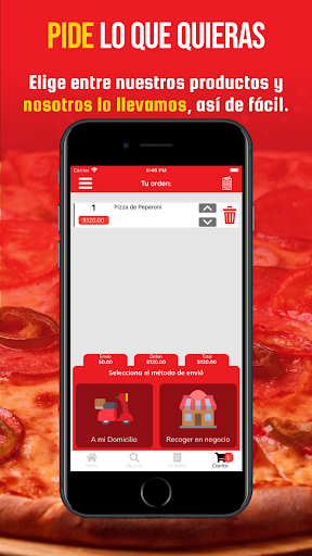 Elys Pizza Screen 2