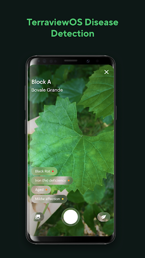TerraviewOS Screen 2