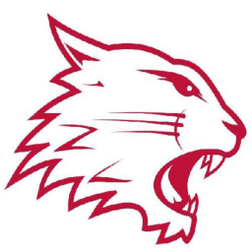 Swindon Wildcats Download on Windows