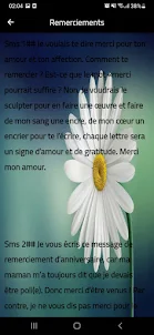 SMS AMOUR