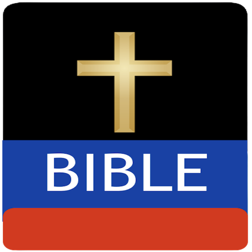 Bible Sos logo