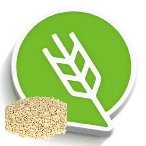 उडीद लागवड #Agrownet™ logo