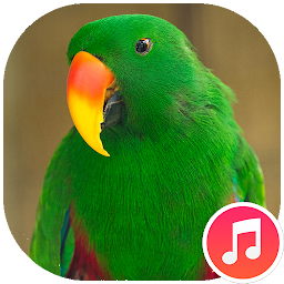 Parrot Sounds