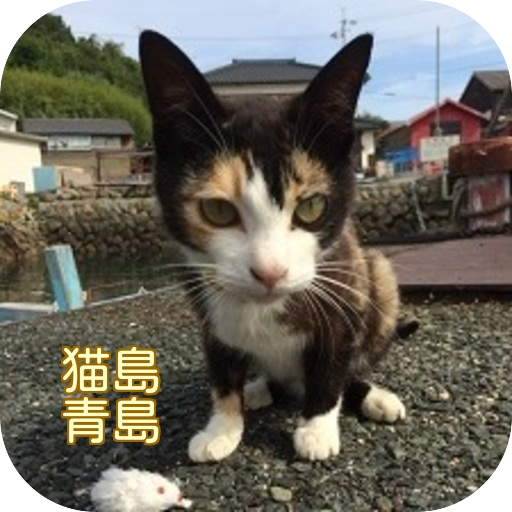 猫島 青島 写真集 Cat Photo collection  Icon