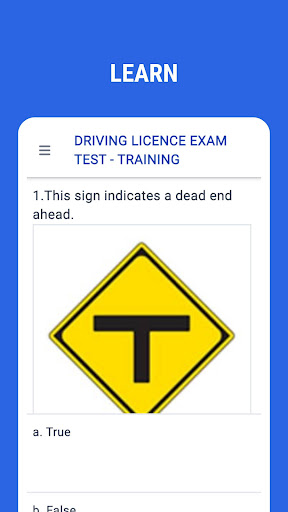 Driving Licence Exam Japan Screen 2