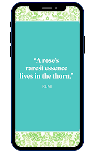 Rumi citações