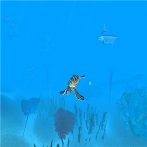 VR Ocean Aquarium 3D
