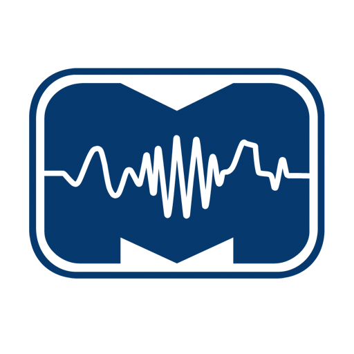 Ermes Remote Monitoring logo