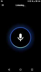 Reverb for Amazon Alexa 2