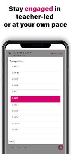 ExamView Student Screen 3