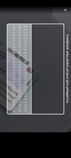 Orca Screen 2