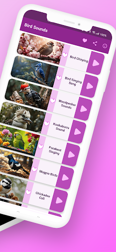 Bird Sounds & Bird Calls Screen 2