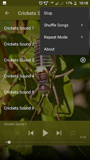 Crickets Sounds Screen 3