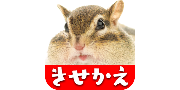 リス壁紙 Google Play のアプリ