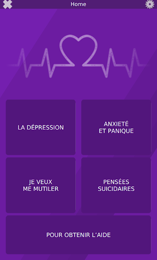 Aperçu de l'application