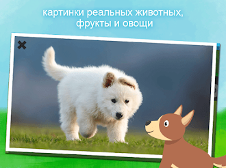 Game screenshot Животные - игра для малышей apk download