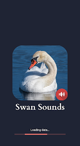 Captura 1 Sonidos de cisne android