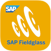 SAP Fieldglass Time Entry