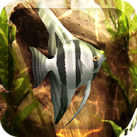 HD Aquarium Live Wallpaper 3D