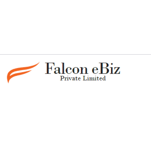 Falcon eBiz Private Limited logo