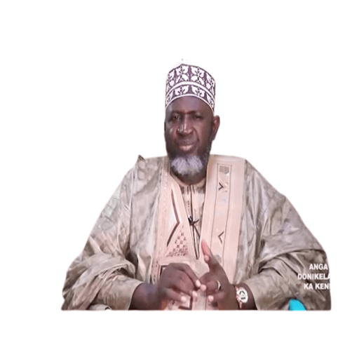 Ousmane Solih Traore logo
