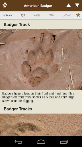 iTrack Wildlife Lite Screen 2
