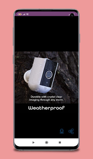 geeni freebird guide