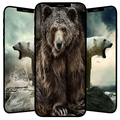 Bears Wallpapers Download on Windows