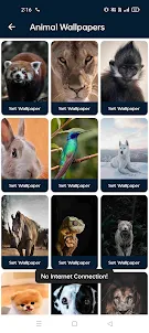 Animal Wallpapers