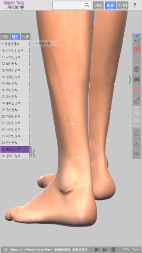 Master Tung`s Acupoint Anatomy screenshot 9