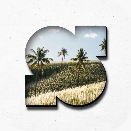 SALT Experience logo