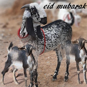 Eid Ul Adha 2020 Card And Greetings