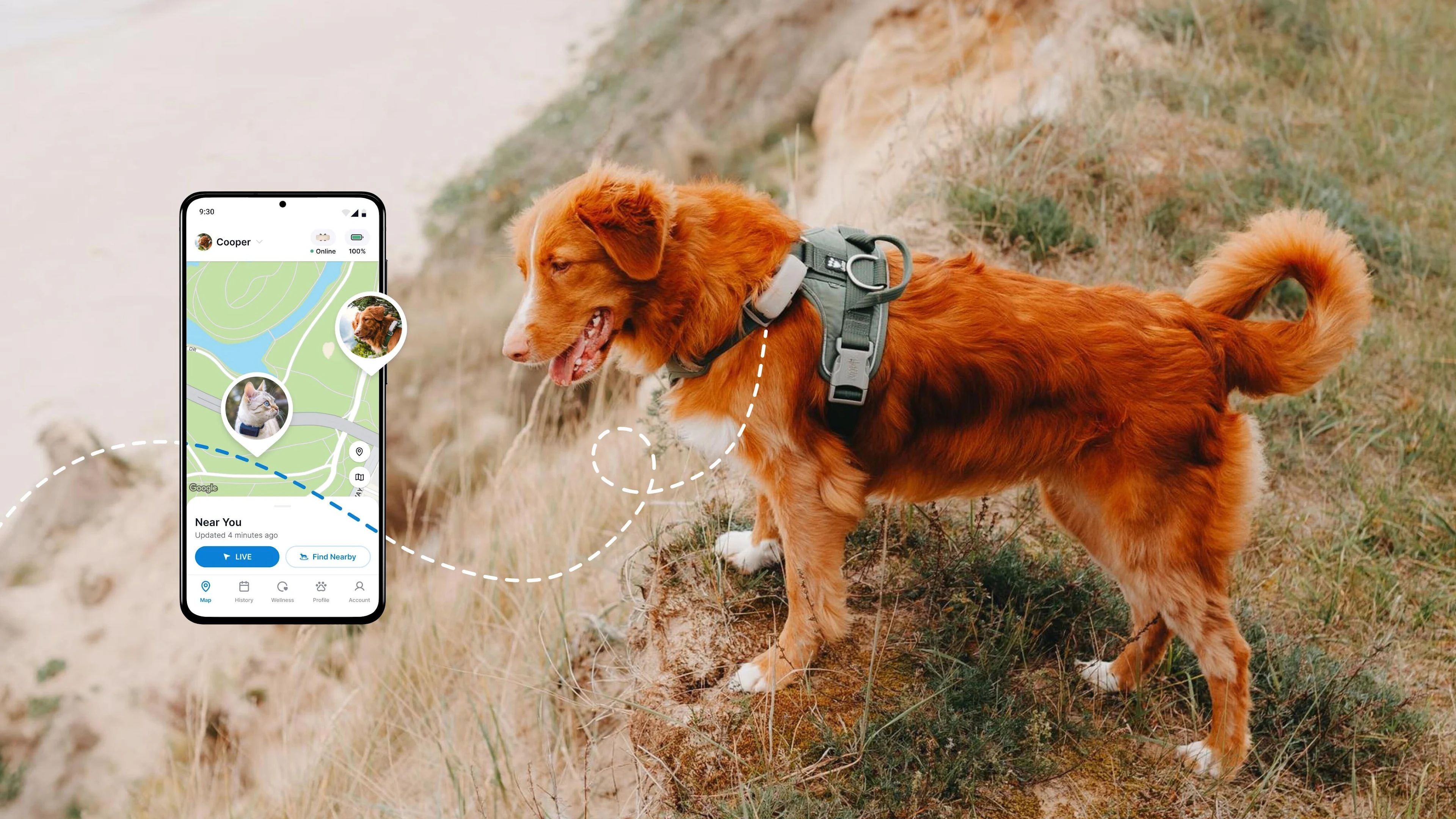 Tractive GPS Tracker for Cats and Dogs with Activity Monitoring