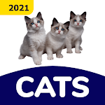 Cover Image of ダウンロード Cat Stickers for WAStickerApps  APK